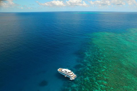 Great Barrier Reef Snorkeling And Diving Cruise From Cairns - Accommodation Broome 4