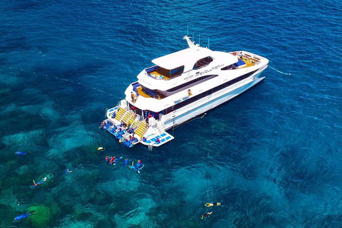 Great Barrier Reef Snorkeling And Diving Cruise From Cairns - Accommodation Broome 5