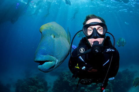Full Day Reef Cruise Including 10 Minute Heli Scenic Flight: Get High Package - Accommodation Broome 1