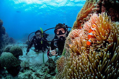 Full Day Reef Cruise Including 10 Minute Heli Scenic Flight: Get High Package - Accommodation Broome 5