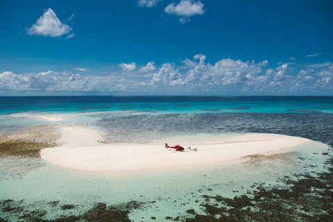 Private Helicopter Tour: Reef Island Snorkeling And Gourmet Picnic Lunch - Accommodation Broome 4