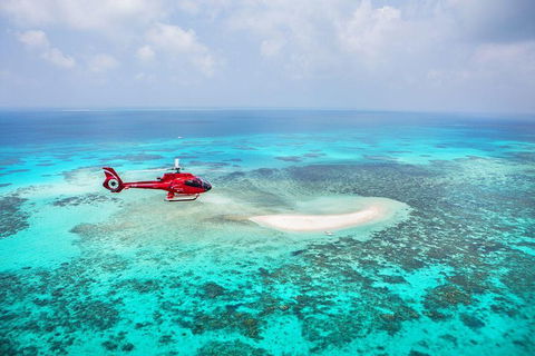 Private Helicopter Tour: Reef Island Snorkeling And Gourmet Picnic Lunch - Accommodation Broome 5