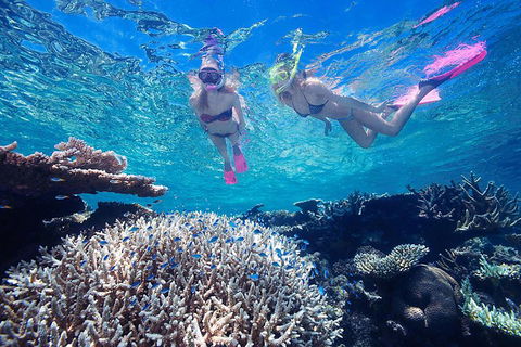 Great Barrier Reef Scenic Helicopter Tour And Cruise From Cairns - Accommodation Broome 3