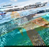Scenic Helicopter Flight to Moore Reef and Return Snorkeling Cruise from Cairns - Accommodation Broome