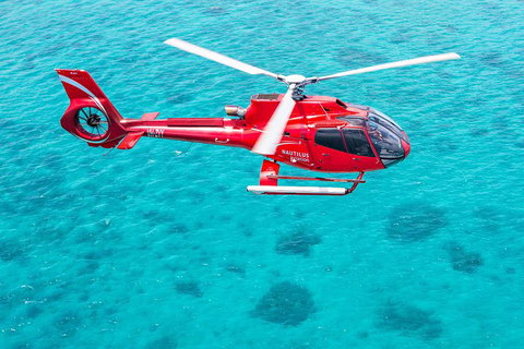 Helicopter And Cruise Packages From Port Douglas - Accommodation Broome 5