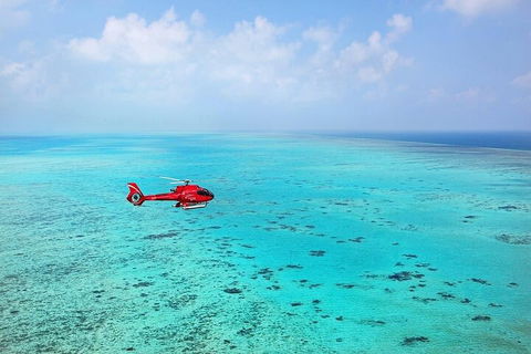 Great Barrier Reef 30-Minute Scenic Helicopter Tour From Cairns - Accommodation Broome 2