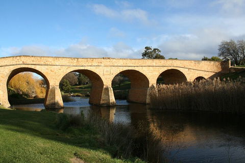 Mt. Wellington, Bonorong And Richmond Day Tour From Hobart - Accommodation Broome 4
