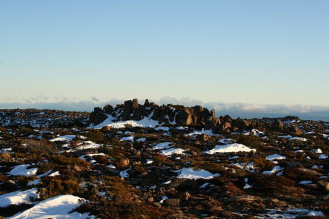 Mt. Wellington, Bonorong And Richmond Day Tour From Hobart - Accommodation Broome 5