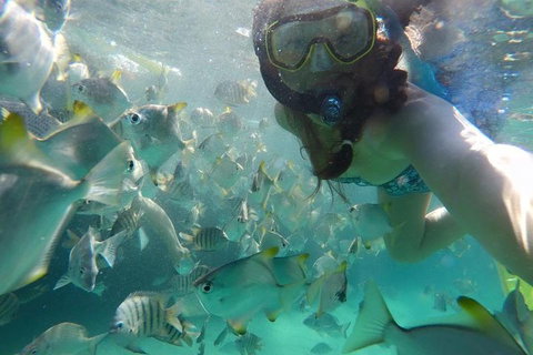 2-Day Moreton Island 4WD Camping Tour From Brisbane - Accommodation Broome 0