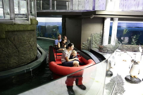 Sydney Attractions Pass: SEA LIFE Aquarium, Sydney Tower Eye, WILD LIFE Zoo And Madame Tussauds - Accommodation Broome 0
