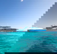 Fremantle to Rottnest Island Roundtrip Ferry Ticket - Accommodation Broome