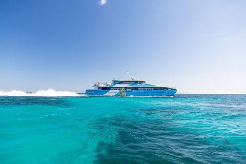 Rottnest Island Bike, Snorkel & Ferry Package From Fremantle - Accommodation Broome 0