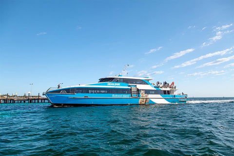 Rottnest Island Bike, Snorkel & Ferry Package From Fremantle - Accommodation Broome 5