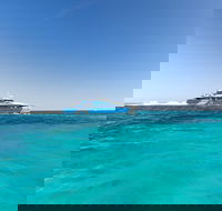 Rottnest Island Fortress Adventure Segway Package from Fremantle - Accommodation Broome