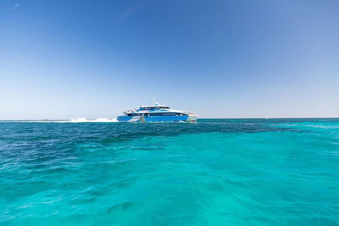 Rottnest Island Fortress Adventure Segway Package From Fremantle - Accommodation Broome 0