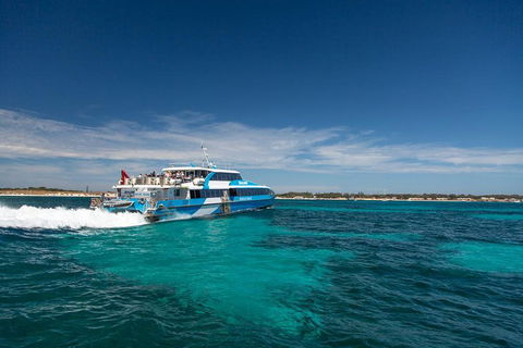 Perth To Rottnest Island Roundtrip Ferry Ticket - Accommodation Broome 4