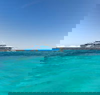 Rottnest Island Bayseeker Day Trip from Perth - Accommodation Broome
