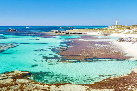Rottnest Island Bayseeker Day Trip From Perth - Accommodation Broome 4