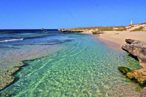 Rottnest Island Bayseeker Day Trip From Perth - Accommodation Broome 5