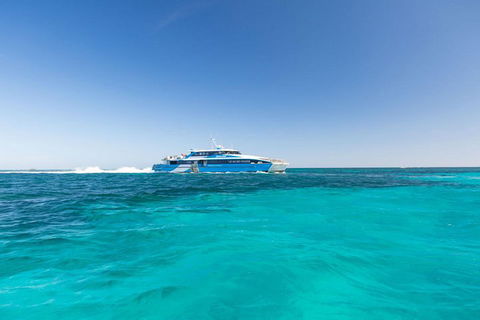 Rottnest Island Settlement Explorer Segway Package From Perth - Accommodation Broome 1