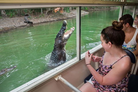 Hartley's Crocodile Adventures Day Trip From Cairns - Accommodation Broome 3