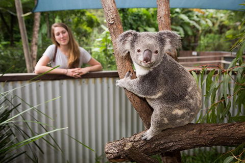 Hartley's Crocodile Adventures Day Trip From Cairns - Accommodation Broome 5