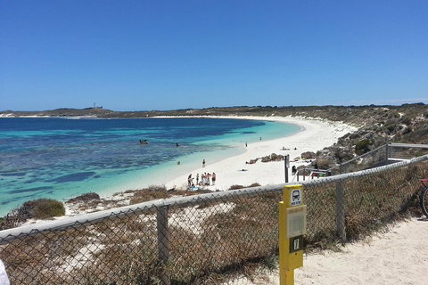 Wave Rock, Pinnacles And Rottnest One Day Aeroplane Tour - Accommodation Broome 2