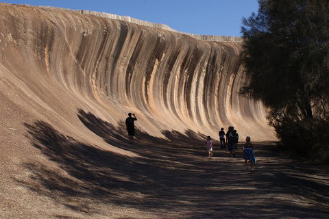 Wave Rock, Pinnacles And Rottnest One Day Aeroplane Tour - Accommodation Broome 4