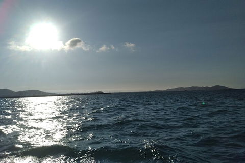 Townsville Small Group Early Morning Sailing Cruise Boat Tour Charter Hire - Accommodation Broome 4