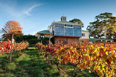Adelaide Hills Food, Wine, Cheese, & Chocolate - Private Day Tour - Accommodation Broome 3