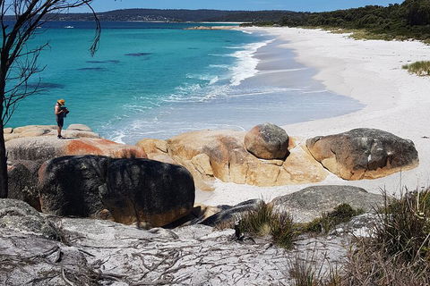 2-Day Tas East Coast Escape Tour Including Bay Of Fires, Wineglass Bay & Devils - Accommodation Broome 4
