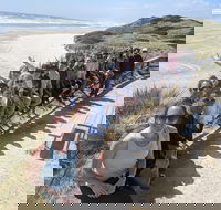 3 Day Tasmanian Wild West Coast Tour from Hobart to Launceston - Accommodation Broome