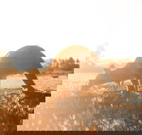 Small Group - 12 Apostles Otways  Great Ocean Road Day Tour from Melbourne