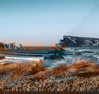 Small Group - Phillip Island Hike  Penguin Parade Day Tour from Melbourne