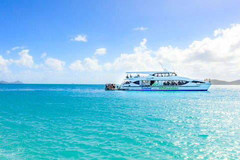 Whitehaven Beach And Daydream Island Cruise - Accommodation Broome 2