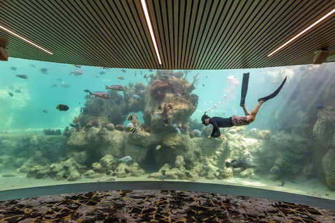 Whitehaven Beach And Daydream Island Cruise - Accommodation Broome 4