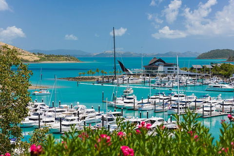 Whitehaven Beach And Hamilton Island Cruise - Accommodation Broome 3