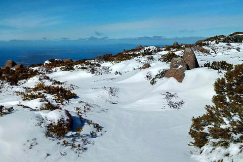 Mount Wellington Ultimate Experience Tour From Hobart - Accommodation Broome 1