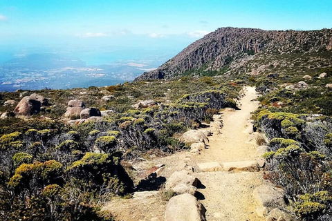 Mount Wellington Ultimate Experience Tour From Hobart - Accommodation Broome 5