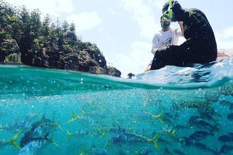 2 Night Small Group Whitsundays Sailing Adventure Aboard Mandrake - Accommodation Broome 5