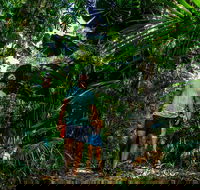 Full Day Daintree Rainforest and Mossman Gorge Tour - Accommodation Broome