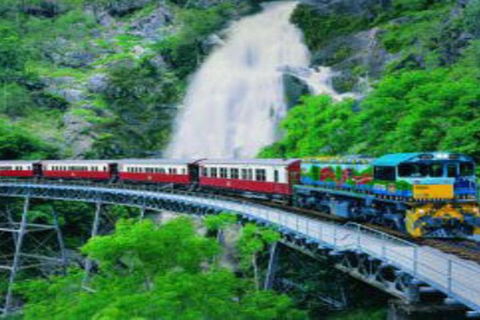 Cairns ATV Adventure Tour And Morning Train - Accommodation Broome 4