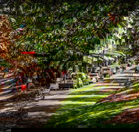 Fully Inclusive Blue Mountains Private Tour inc Scenic World  Featherdale entry - Accommodation Broome