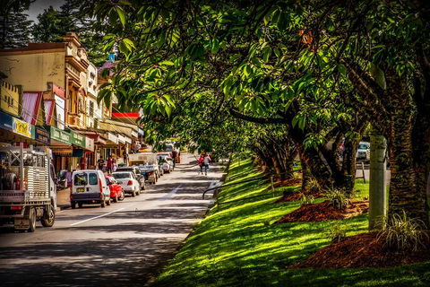 Fully Inclusive Blue Mountains Private Tour Inc Scenic World & Featherdale Entry - Accommodation Broome 0