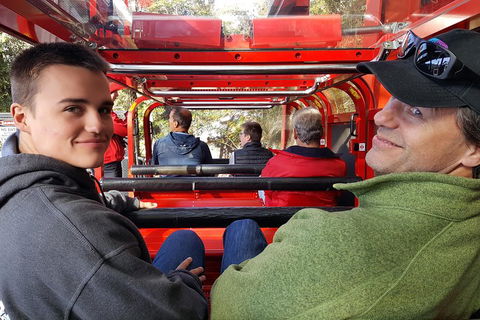 Fully Inclusive Blue Mountains Private Tour Inc Scenic World & Featherdale Entry - Accommodation Broome 1