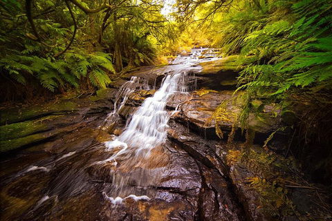 Fully Inclusive Blue Mountains Private Tour Inc Scenic World & Featherdale Entry - Accommodation Broome 3