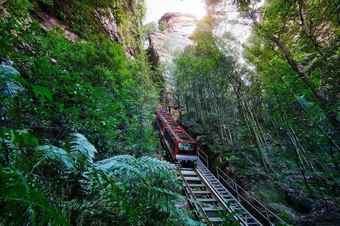 Fully Inclusive Blue Mountains Private Tour Inc Scenic World & Featherdale Entry - Accommodation Broome 4