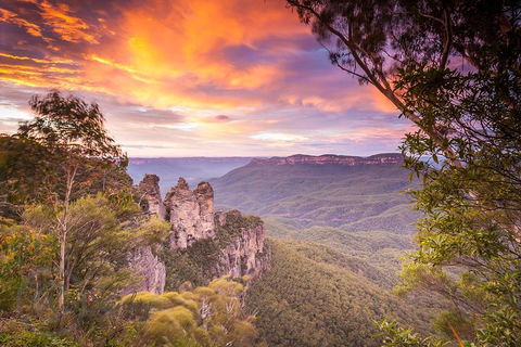 Fully Inclusive Blue Mountains Private Tour Inc Scenic World & Featherdale Entry - Accommodation Broome 5