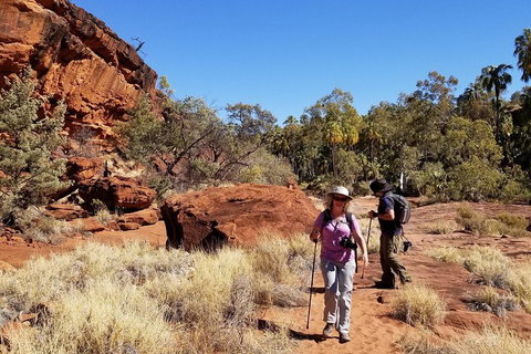 Palm Valley And Hermannsburg 1 Day 4WD Tour - Accommodation Broome 1