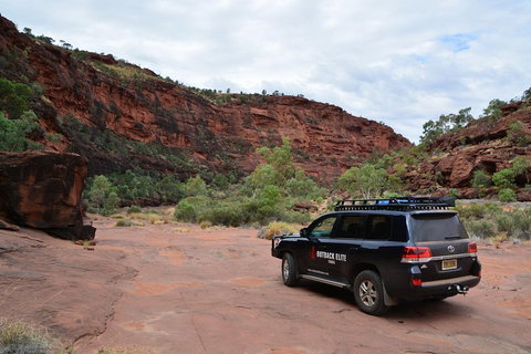 Palm Valley And Hermannsburg 1 Day 4WD Tour - Accommodation Broome 5